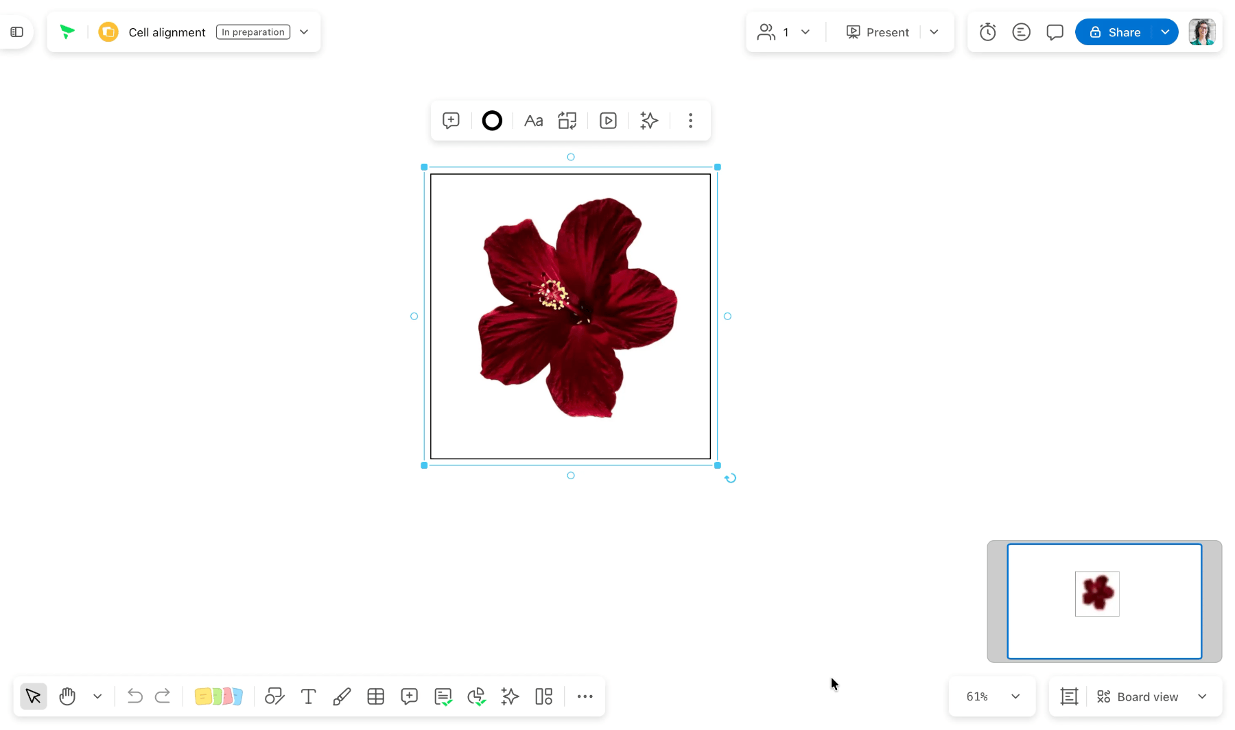 Screen Recording new crop.gif