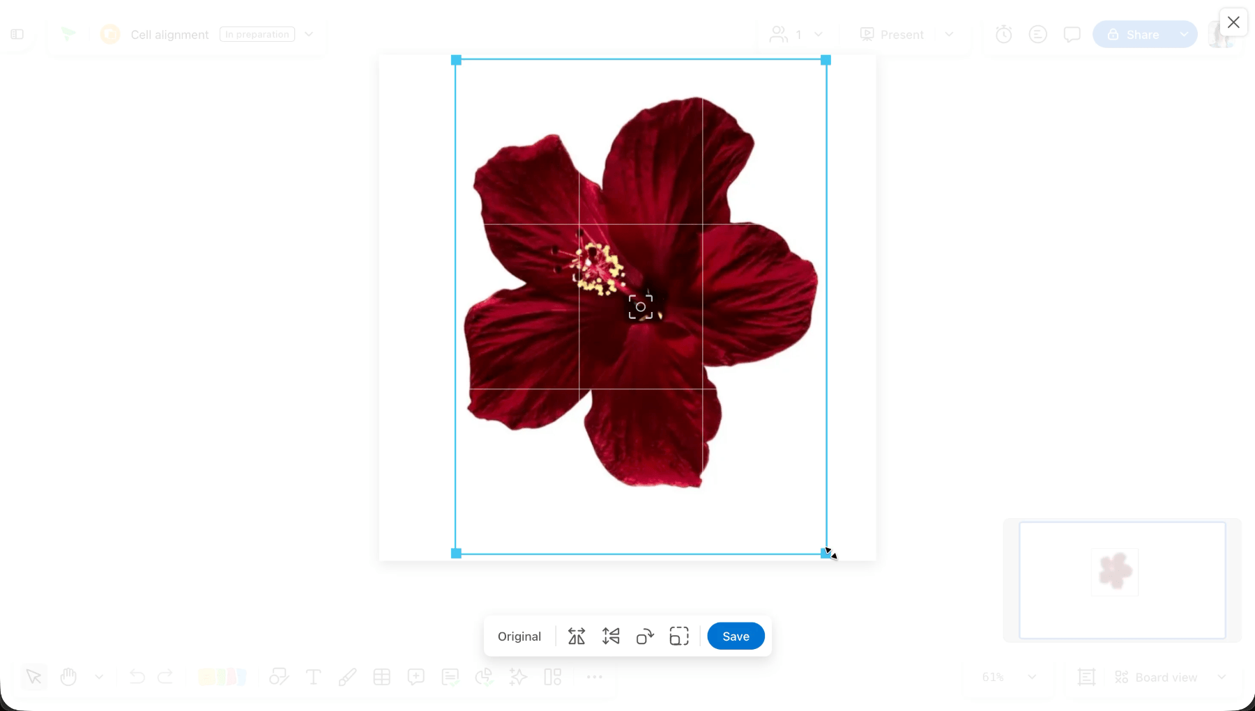 Screenshot crop potrait.gif